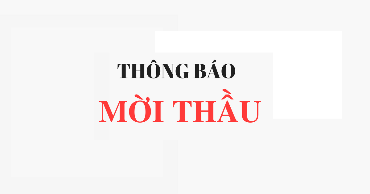 THÔNG BÁO MỜI THẦU: Gói thầu TB06: Cung cấp, lắp đặt thiết bị cơ khí thủy công – Dự án thủy điện Xekaman 4