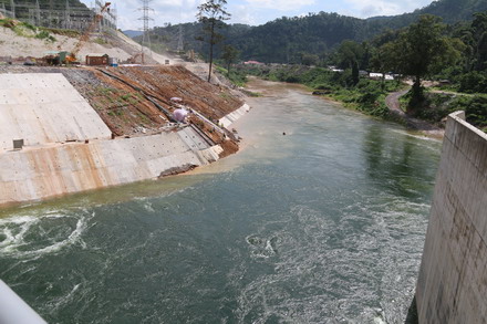 Downstream part of the Plant